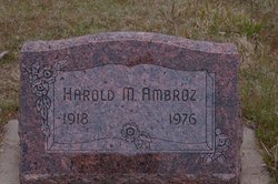 Harold M Ambroz 