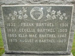 Frank Barthel 