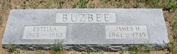 James H Buzbee 