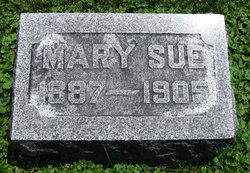 Mary Sue Farmer 