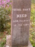 Urial Dart 