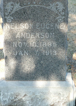 Nelson Eugene Anderson 