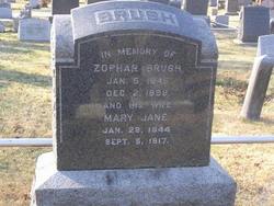Zophar Brush 