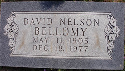 David Nelson Bellomy 