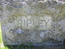 Lewis W. Ripley 