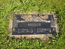 Bruce Allen Briggs 