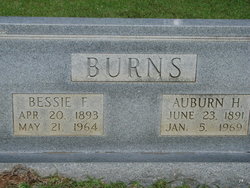 Auburn Holly Burns 