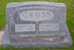 Charles Joseph Gross 