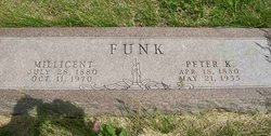 Peter K Funk 