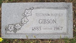 Thomas Harvey Gibson 