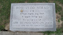 Rose <I>Zedd</I> Norad 
