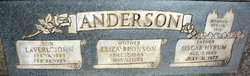 Eliza <I>Bronson</I> Anderson 