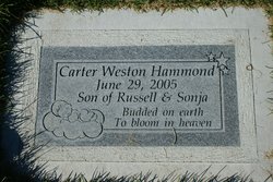 Carter Weston Hammond 