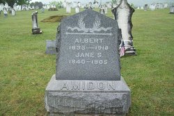 Albert Amidon 