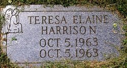 Teresa Elaine Harrison 
