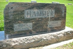 Adam Mark Hammer 