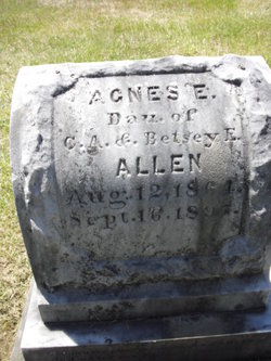 Agnes Elizabeth Allen 