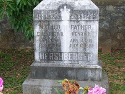 Henry Pendleton Hershberger 