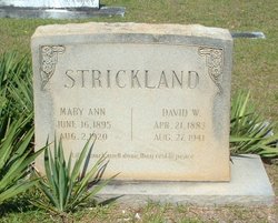 Mary Ann <I>Arant</I> Strickland 