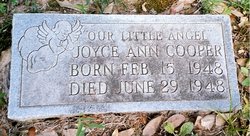 Joyce Ann Cooper 