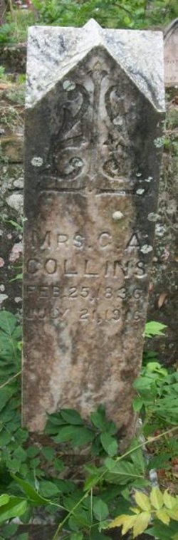 C A Collins 
