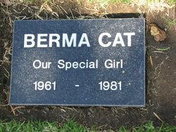 Berma Cat 
