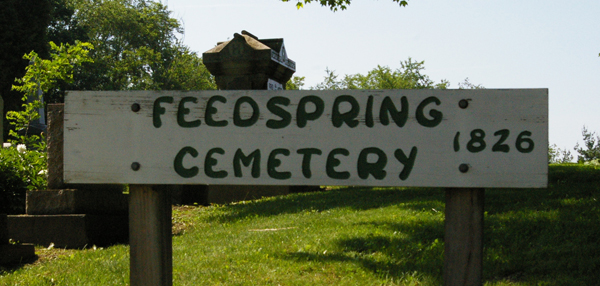Feed Springs Cemetery