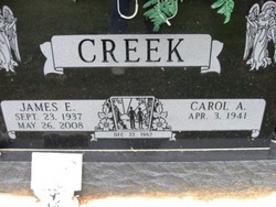 Carol A Creek 