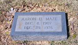 Aaron Ulysses Maze 
