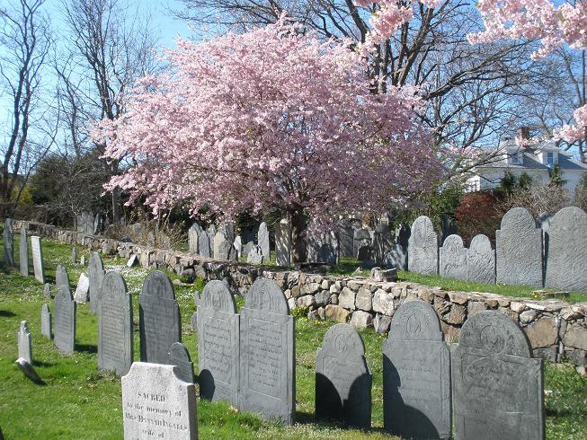 Harris Street Cemetery