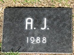 A.J. 