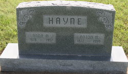 Anton M Hayne 