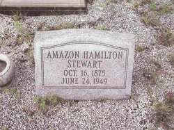 Amazon <I>Hamilton</I> Stewart 