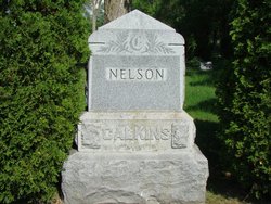 William Henry Nelson 