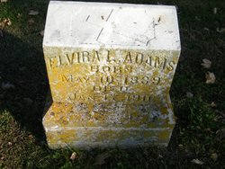 Elvira L. <I>Adams</I> Adams 