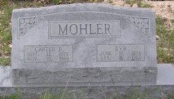 Carter Burnett Mohler 