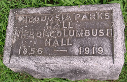 Theodosia E. “Nellie” <I>Parks</I> Hall 