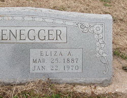 Eliza Alice <I>Griffin</I> Langenegger 