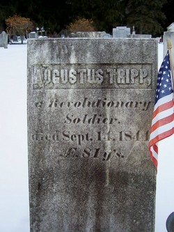 Augustus Tripp 