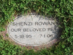 Shenzi Rowan 