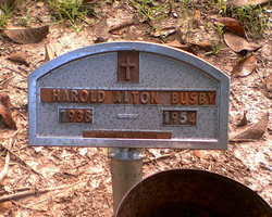 Harold Alton Busby 