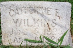 Catherine Elizabeth Wilkins 