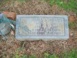 James A. Adams 