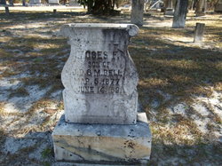 Moses F. Bell 