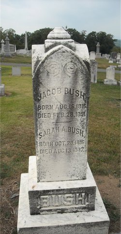 Sarah Ann Bush 