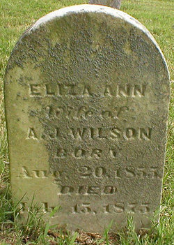 Eliza Ann <I>Head</I> Wilson 