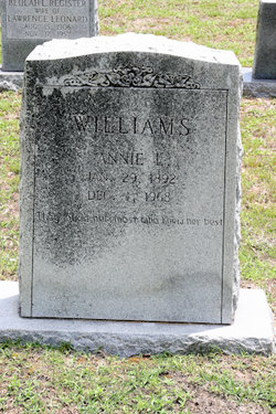 Annie Florence <I>Ludlum</I> Williams 