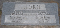 Sarah Eliza <I>Johnson</I> Thorn 