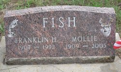 Franklin H Fish 