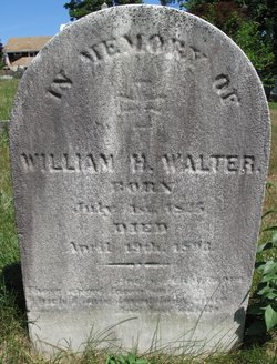 William H Walter 